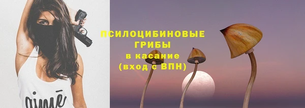 эйфоретик Бронницы