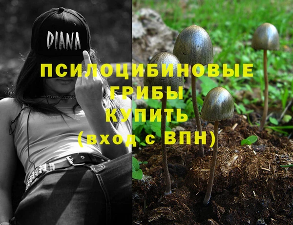 MDMA Premium VHQ Бородино
