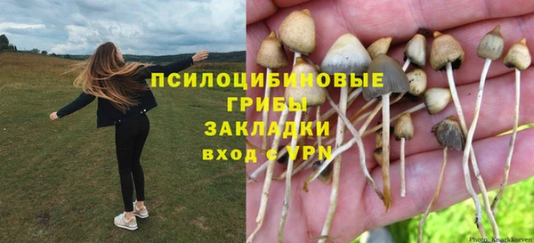 соль курить ск Строитель