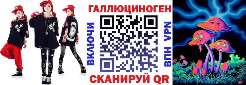 Псилоцибиновые грибы Psilocybine cubensis  Кириши 